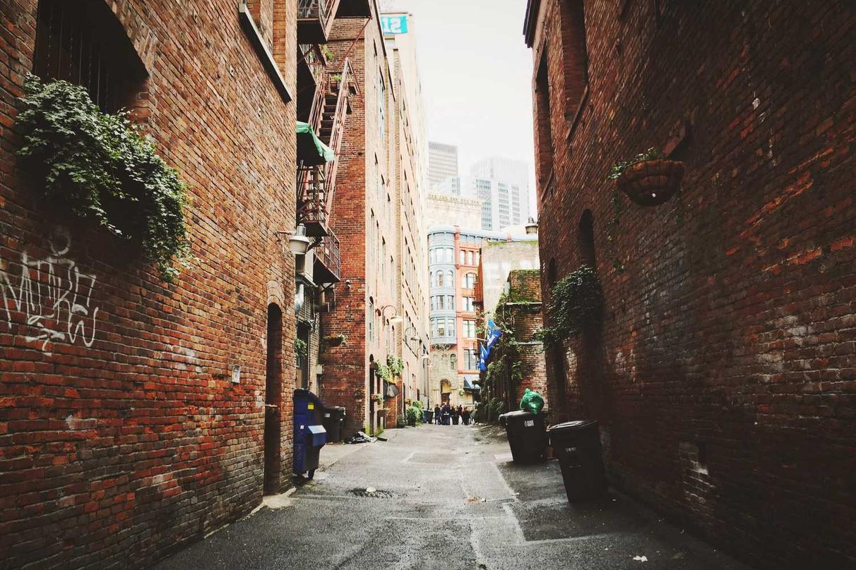 Animi dolore dolorum maxime sed